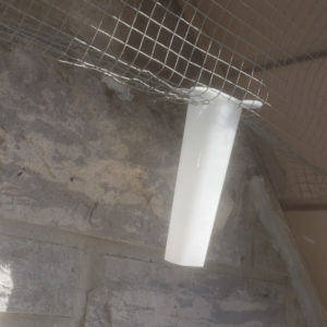 bat traps using one way door hamilton